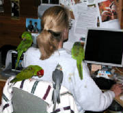 gaylewithallherbirdies.jpg