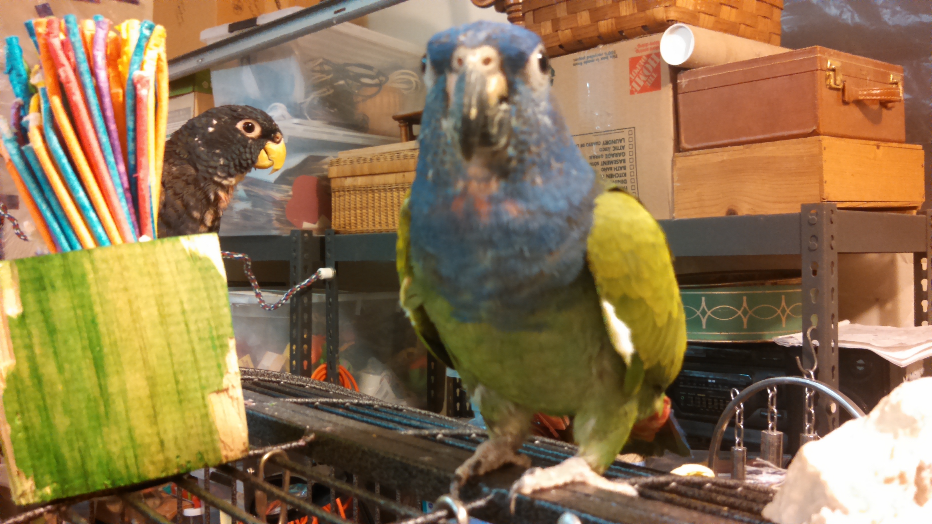 meet turk and spanky meet turk and spanky